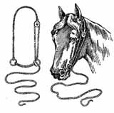 The Amazing Pulley Breaking Bridle